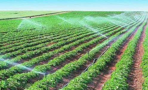 多人ml大鸡巴抽插农田高 效节水灌溉